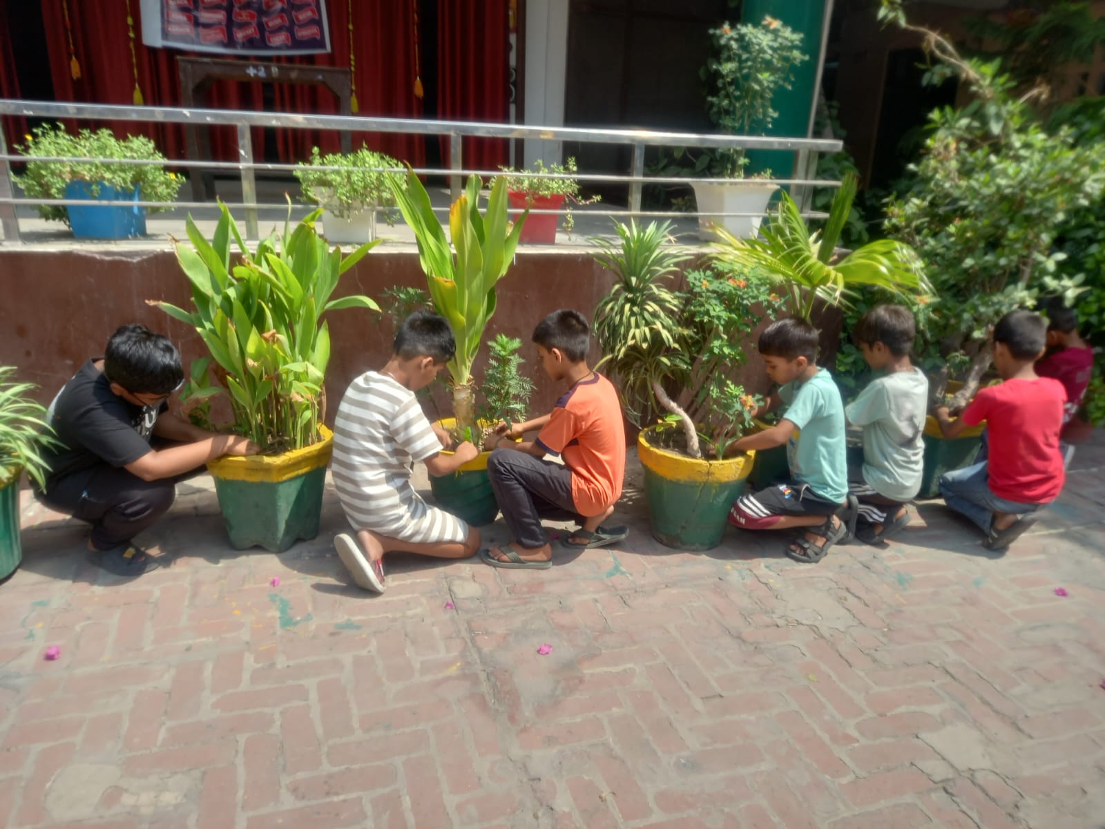 Environment Day 2026
